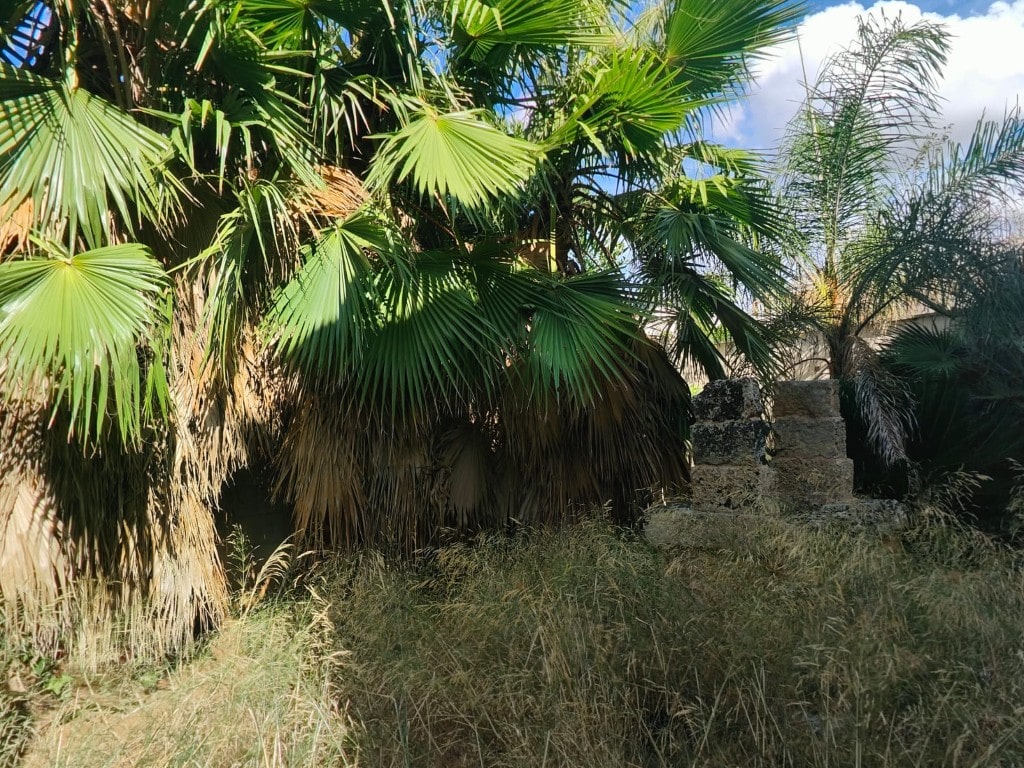 Giano Group Immobiliare